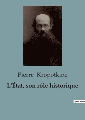 bokomslag L'État, son rôle historique