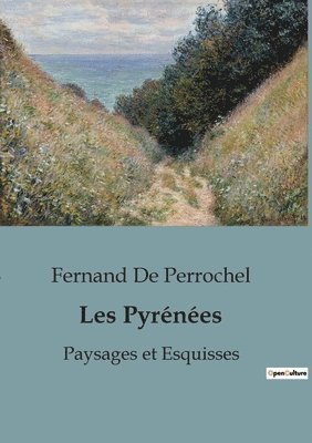 Fernand de Perrochel, Fernand De Perrochel - Les Pyrénées, Häftad