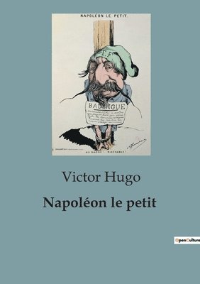 bokomslag Napoléon le petit