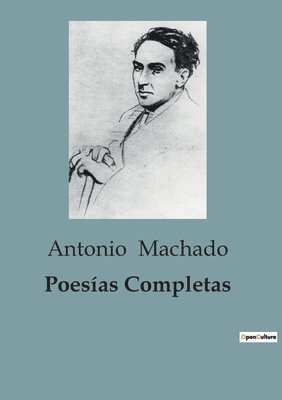 bokomslag Poesías Completas