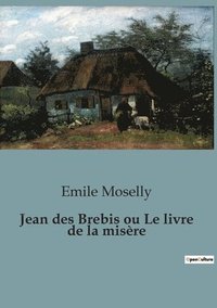 bokomslag Jean des Brebis ou Le livre de la misre