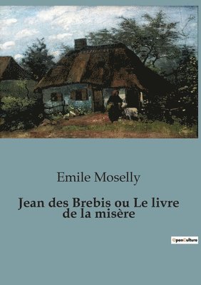 bokomslag Jean des Brebis ou Le livre de la misre