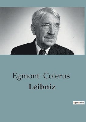 bokomslag Leibniz