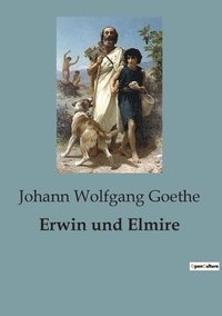 bokomslag Erwin und Elmire