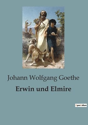 bokomslag Erwin und Elmire