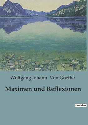 bokomslag Maximen und Reflexionen