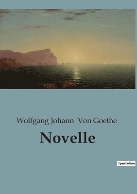 Novelle 1