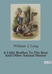 bokomslag Little Brother To The Bear And Other Animal Stories