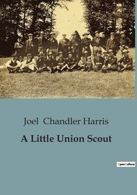 bokomslag Little Union Scout