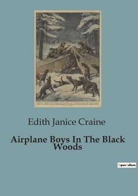 Airplane Boys In The Black Woods 1