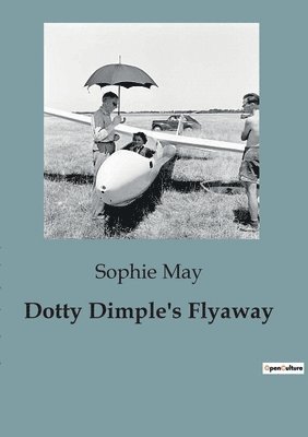 bokomslag Dotty Dimple's Flyaway