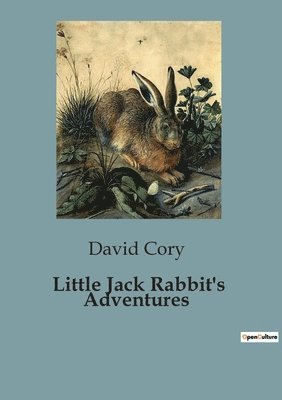 David Cory - Little Jack Rabbit's Adventures, Häftad
