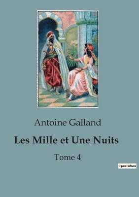 bokomslag Les Mille et Une Nuits