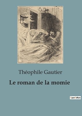 bokomslag Le roman de la momie