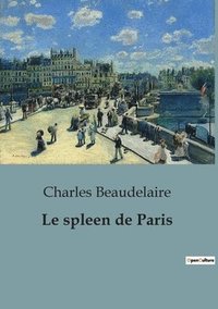 bokomslag Le spleen de Paris
