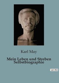 bokomslag Mein Leben und Streben Selbstbiographie