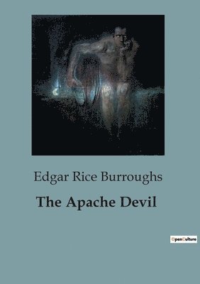 bokomslag Apache Devil