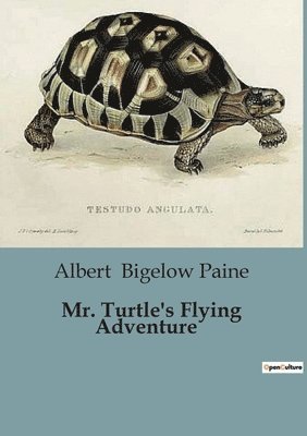 bokomslag Mr. Turtle's Flying Adventure