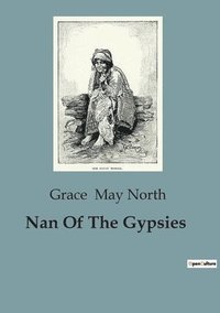 bokomslag Nan Of The Gypsies