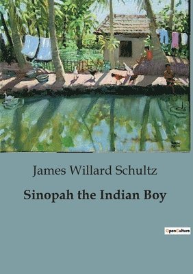 bokomslag Sinopah the Indian Boy