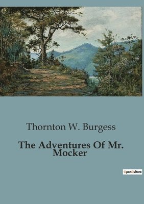 bokomslag The Adventures Of Mr. Mocker