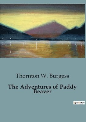 bokomslag Adventures of Paddy Beaver