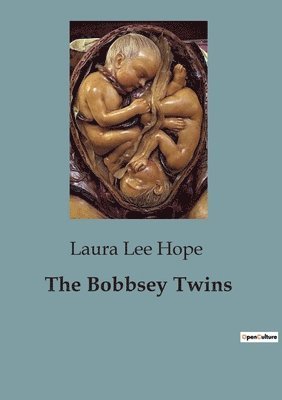 bokomslag The Bobbsey Twins