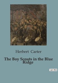 bokomslag Boy Scouts in the Blue Ridge