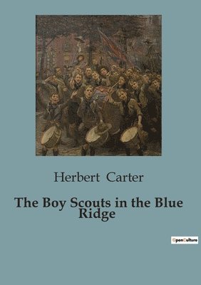 bokomslag Boy Scouts in the Blue Ridge