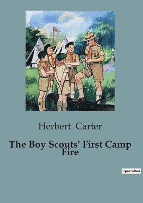 Boy Scouts' First Camp Fire