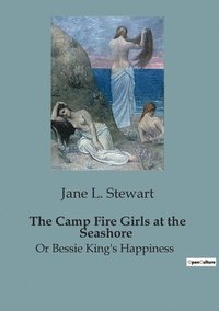 bokomslag Camp Fire Girls at the Seashore