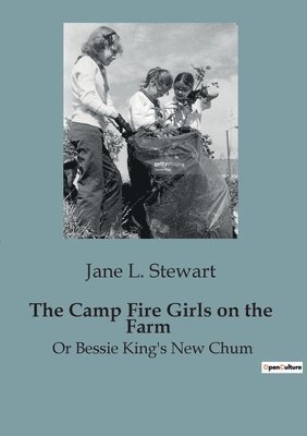 bokomslag Camp Fire Girls on the Farm