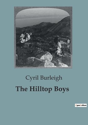 bokomslag Hilltop Boys