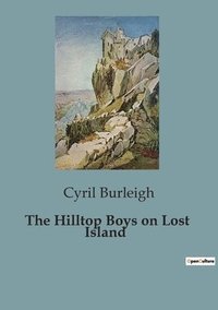 bokomslag Hilltop Boys on Lost Island