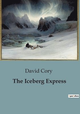 David Cory - Iceberg Express, Häftad