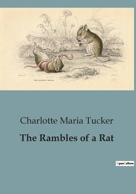 bokomslag Rambles of a Rat