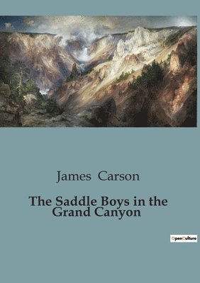 bokomslag Saddle Boys in the Grand Canyon