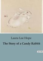bokomslag Story of a Candy Rabbit