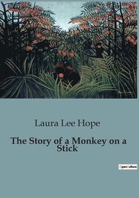 bokomslag Story of a Monkey on a Stick