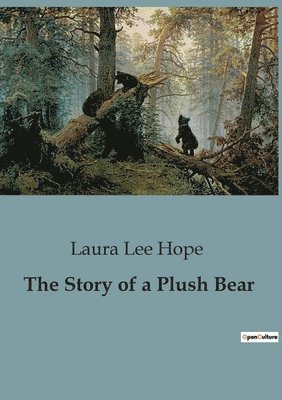 The Story of a Plush Bear 1