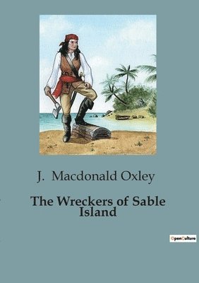 bokomslag Wreckers of Sable Island
