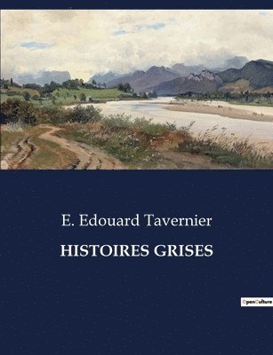 bokomslag Histoires Grises