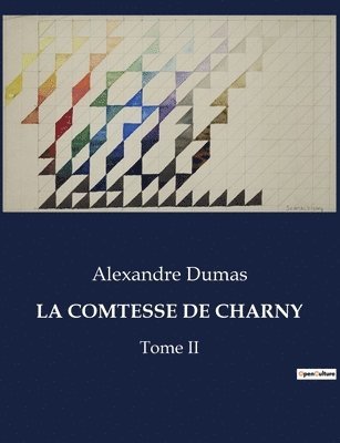 bokomslag Comtesse de Charny