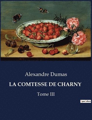 bokomslag COMTESSE DE CHARNY - Tome III