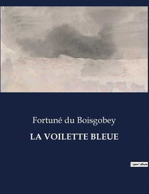 bokomslag La Voilette Bleue