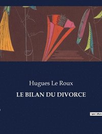 bokomslag Le Bilan Du Divorce