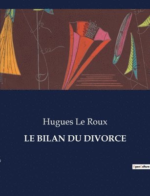 bokomslag Le Bilan Du Divorce