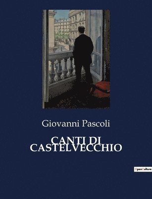 bokomslag Canti Di Castelvecchio
