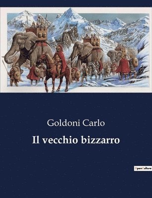 bokomslag Il vecchio bizzarro