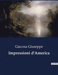 bokomslag Impressioni d'America